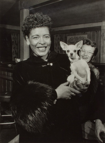 Billie Jean King holding a chihuahua