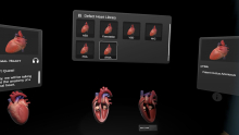 Screenshot of the defect heart library. 