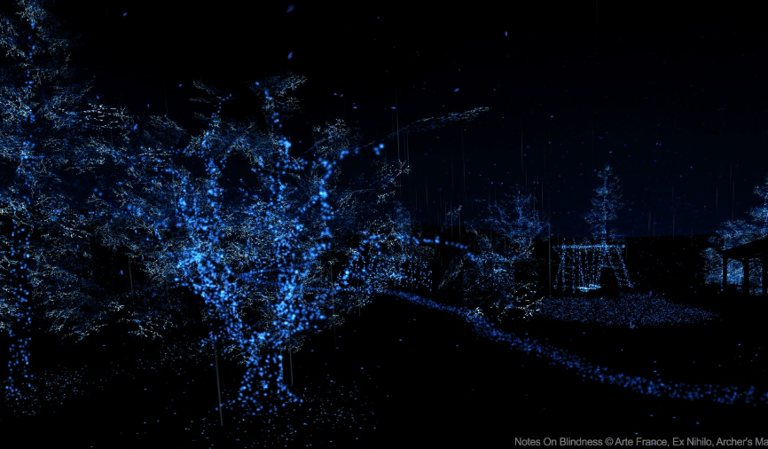 Notes on Blindness