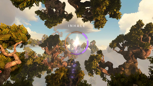 image from tripp. 