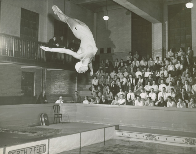 A person diving into an indoor pool in front of a crowd on bleachers