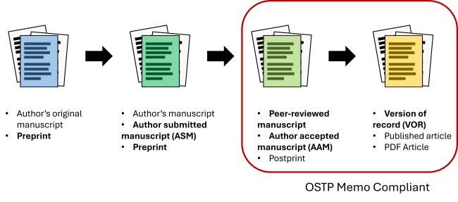 Article versions.
