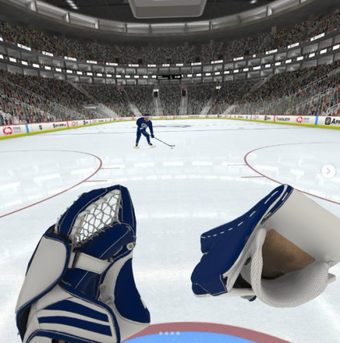 NHLSense Arena