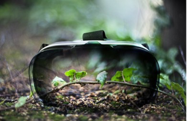 A virtual reality headset lies on the forest floor, with a small plant growing through the lenses.