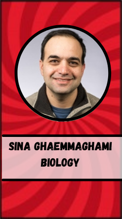 Zero cost hero Sina Ghaemmaghami profile photo